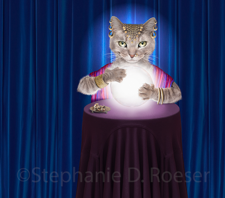 Gypsy Fortune Telling Cat Photo LundRoeser Photography