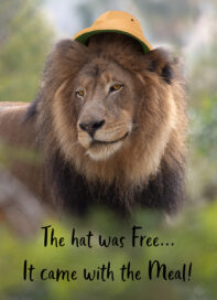 A lion wears a pith helmet and comments "The hat was free...it came with the meal".
