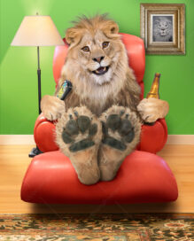 A funny lion sits in an easy chair with a remote and a beer.