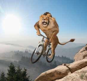 Lion, wearing a helmet as he rides a mountain bike.