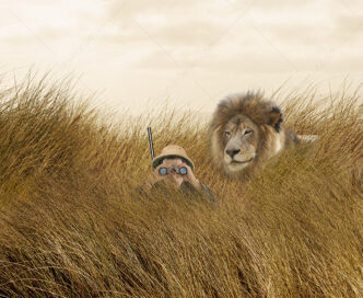 The lion hunter becomes the hunter in this funny lion image.